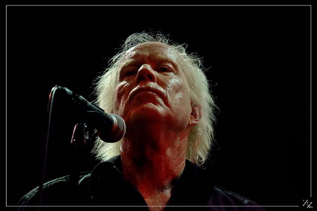 NIK_80288 Radio Birdman 18-10-2018 (Zz) (p).jpg